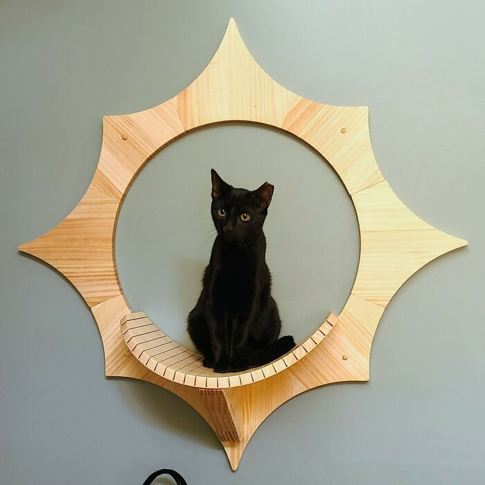 39. "Black hole sun, won't you come... Absolutely in love with this sweet void we adopted last week!"