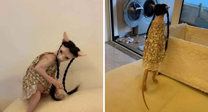 41. She's not from around here.