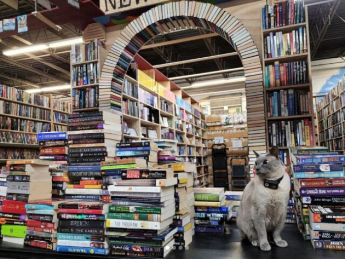 Welcome to Cupboard Maker Books