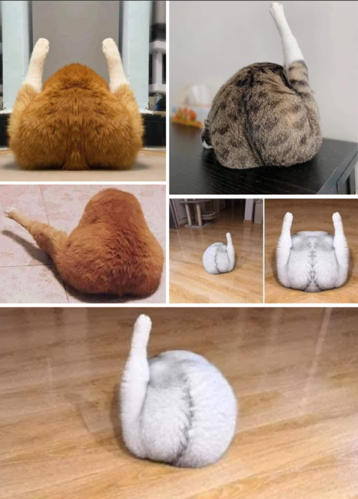 14. Felines lookin' like rotisserie chicken.