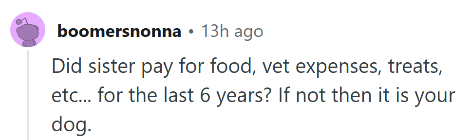Six years of vet bills and kibble tabs say it all—ownership comes with receipts.