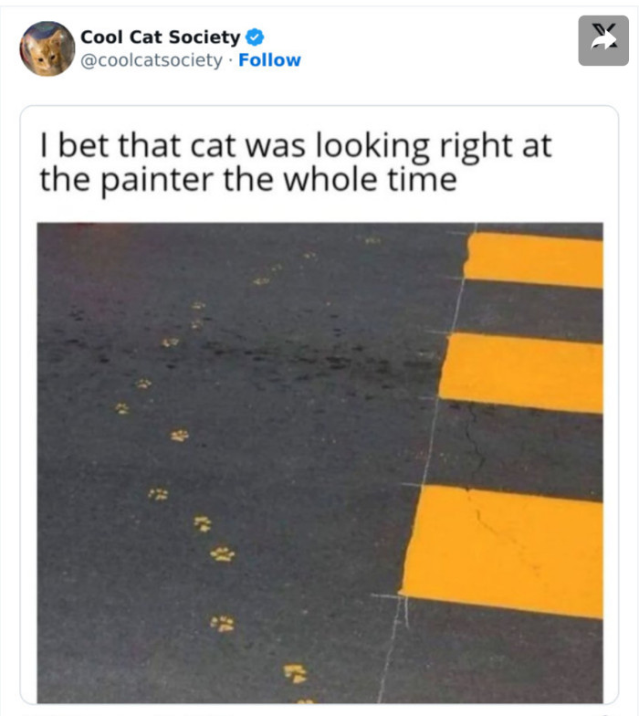 20. The cat wants to paint too