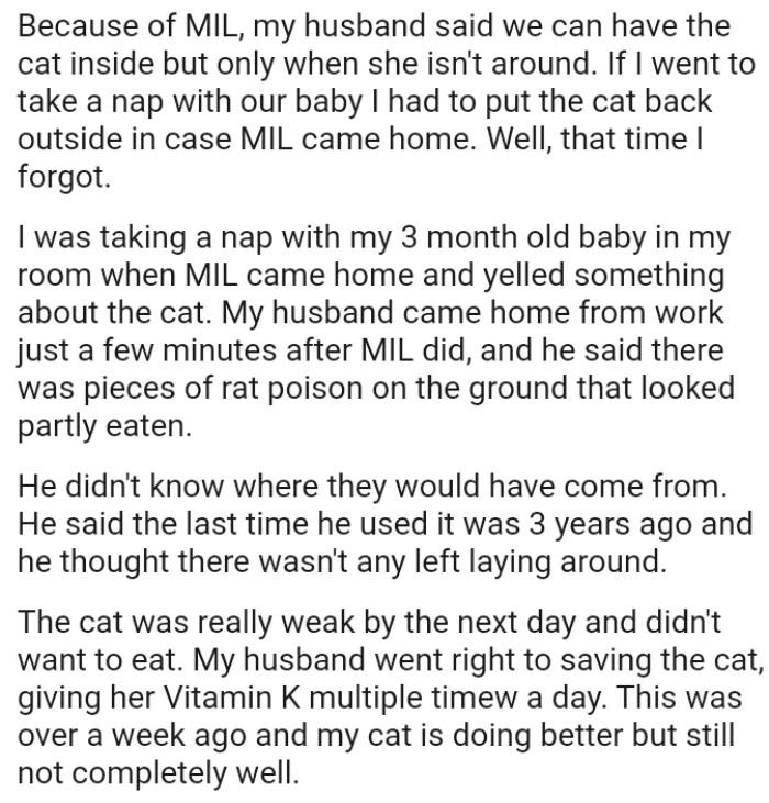 OP's husband said there were pieces of rat poison on the ground that looked partly eaten