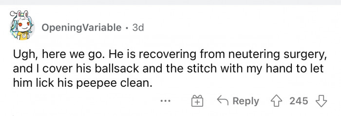 This is the type of thing that people don't talk about when their pet is getting surgery.