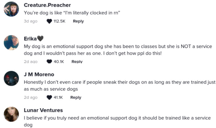 Commenters in the video's discussion section compared the service dog to the purported 