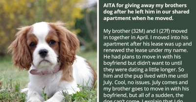Woman Gives Her Brother's Dog Away As He Didn't Seem Concerned About It After Moving Out Of Their Home