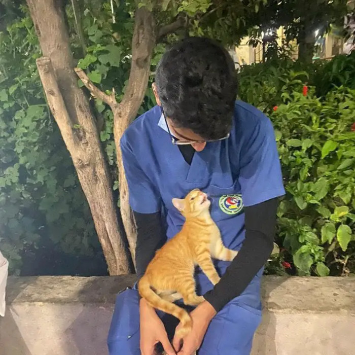 A stray cat approached Ahmed Flaty, almost as if sensing he needed comfort