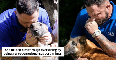 Tears of Joy: Air Force Sergeant and Military K9 Who Worked Together for Years Are Reunited After 3 Years Apart
