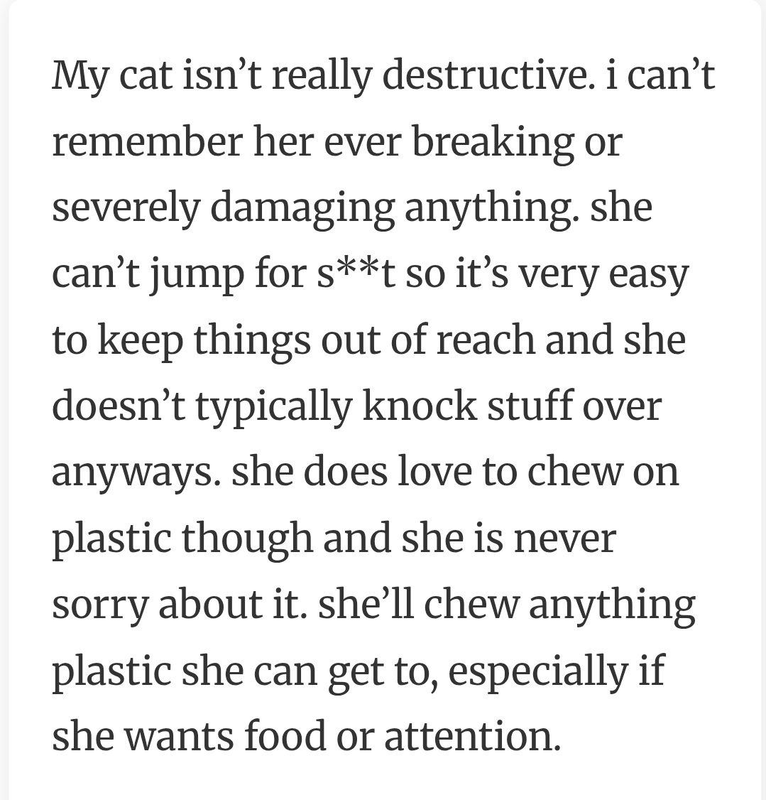 37. Not a really destructive cat