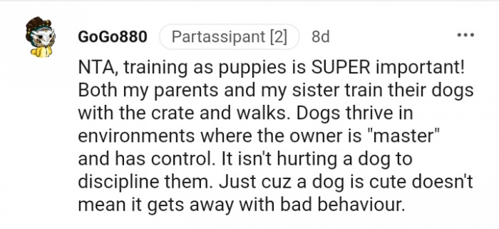 Dogs thrive in an environment where the owner is the master