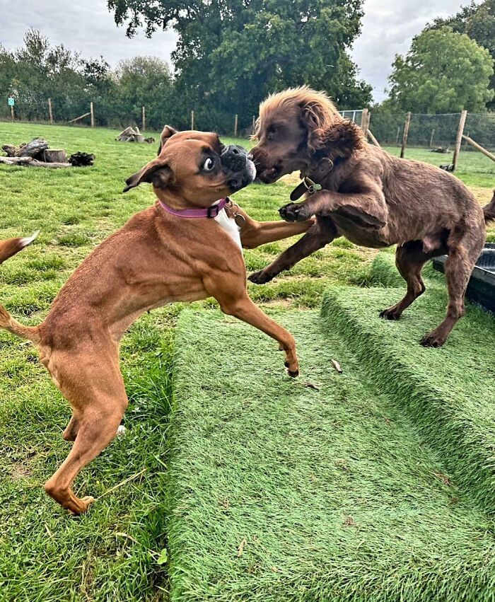 "The One With The Crazy Eyes Is Mime"