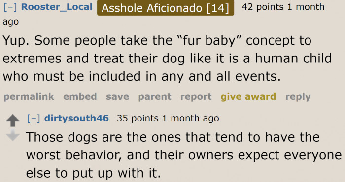 Dear pet owners, please don't equate dogs to human children. They're not.
