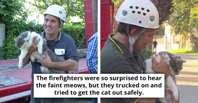 Firefighter Surprisingly Finds A Cat Alive 32 Days After A Devastating Earthquake Hit Their Town