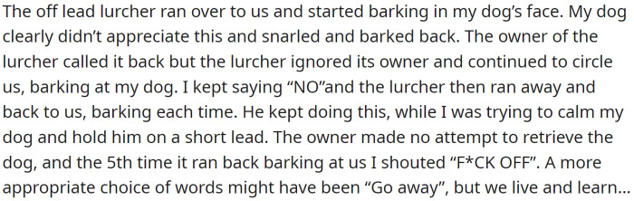 On a walk in a field near their house, they encountered a man with two dogs: one off-lead and one on-lead.