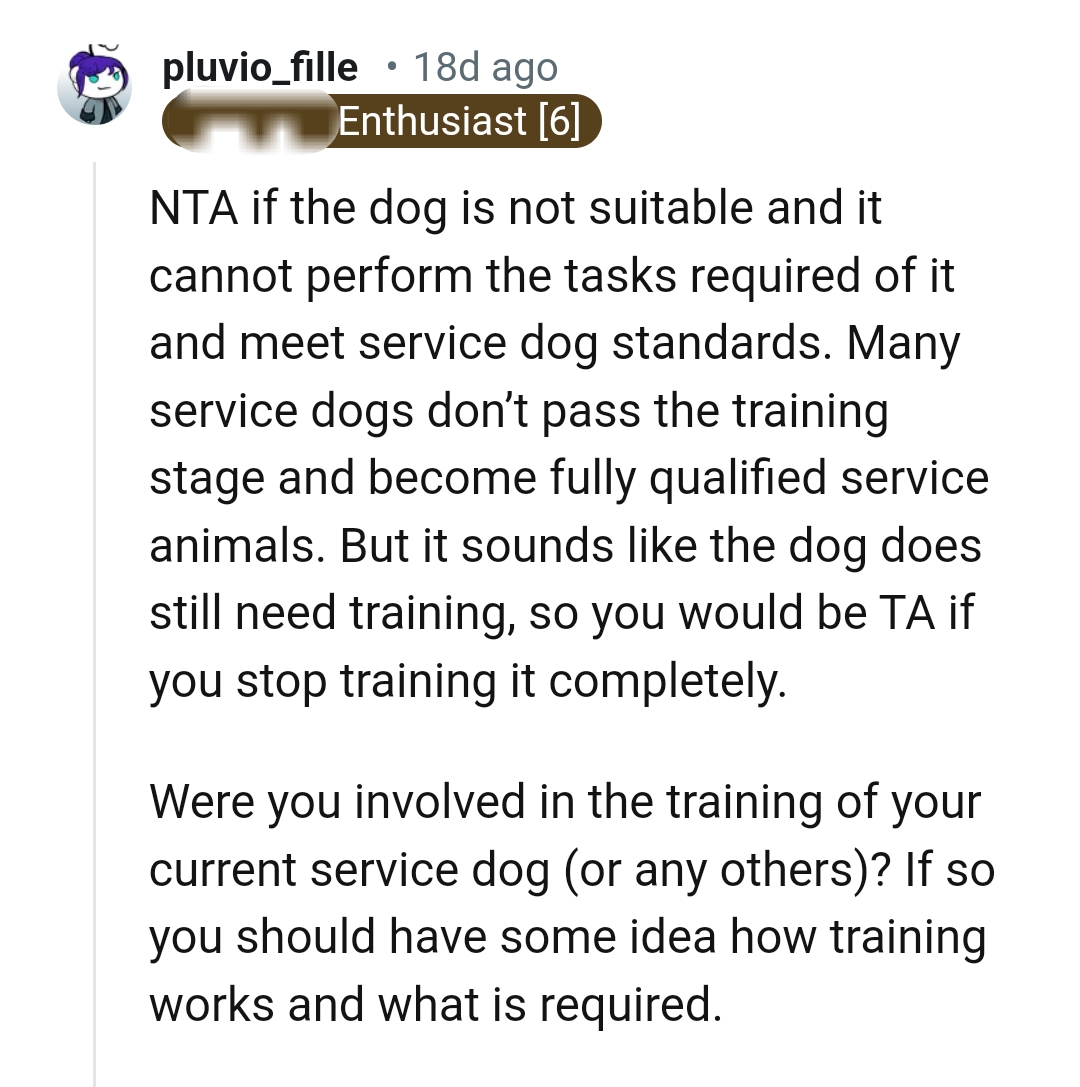 The dog does still need training