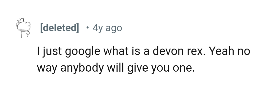 3. You're not getting such a cat for free