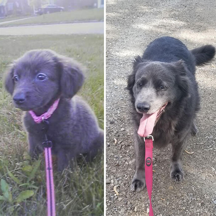 39. “Old Girl Audrey Is 10 Today”