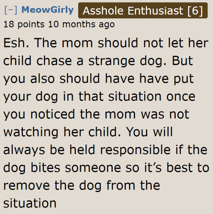 The mom needs to watch her child and the OP needs to keep his dog from getting aggressive.