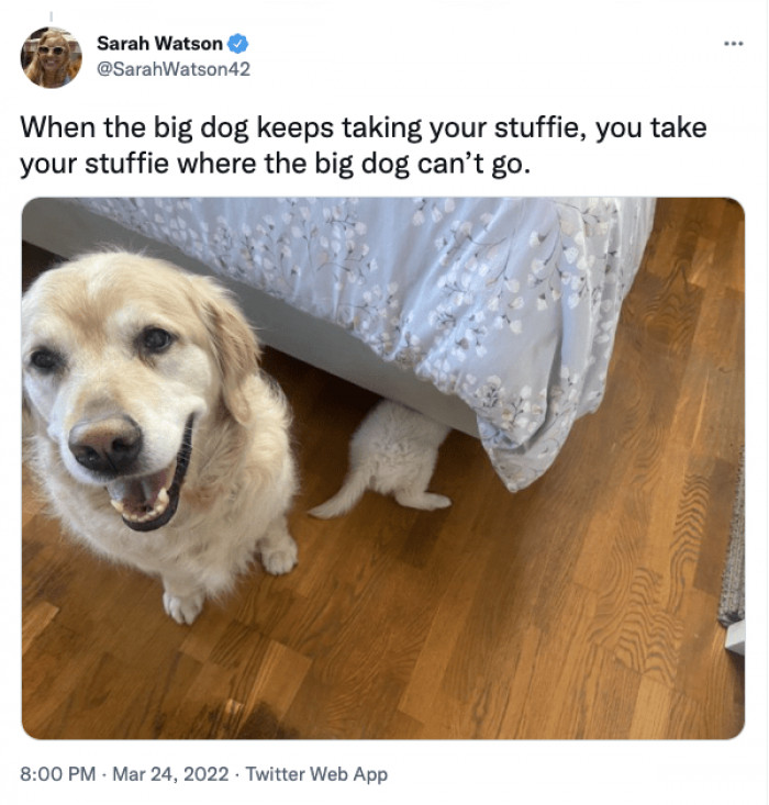 3. He must be persistent.