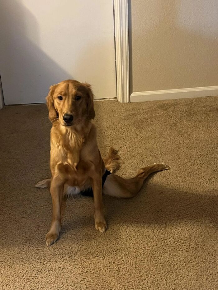 "What Is This?"