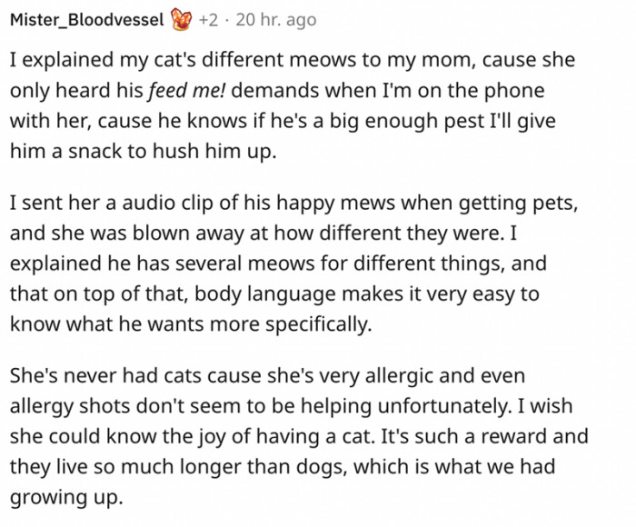 6. "Feed me" meows seem to be more aggressive