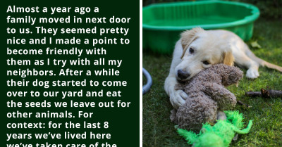 Two Neighbors Get Into An Argument Over A Dog Coming Into The Neighbor's Yard And Eating The Food