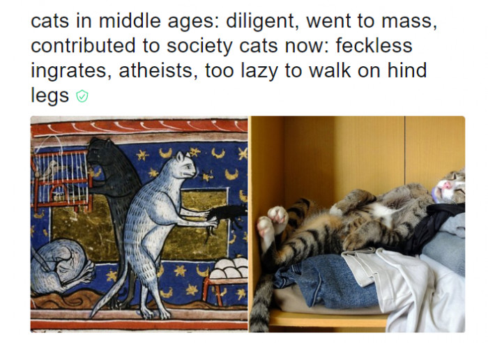 1. This is dog propaganda