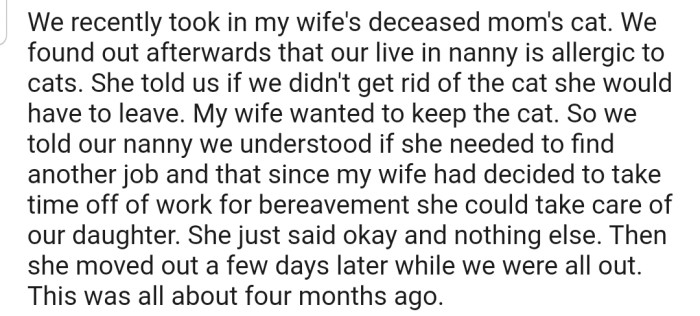 OP and their wife took in their MIL's cat after the woman passed away. However, their nanny had to leave because she's allergic to cats