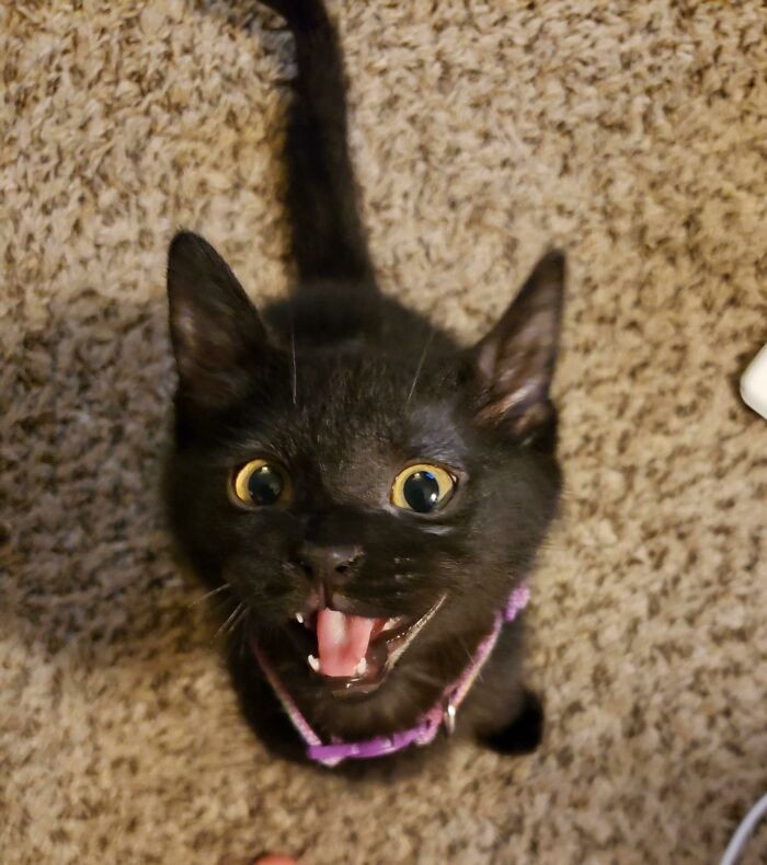 26. Starburst is very opinionated.