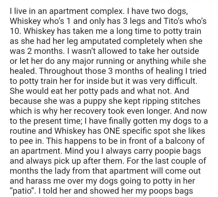 The OP Tried to Potty Train Her Indoors, but It Was Very Difficult