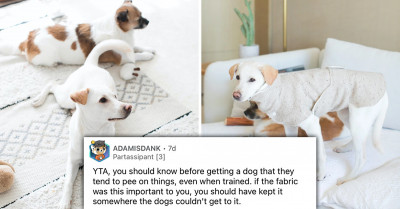 Woman Gets Ripped Online For Screaming Over Her Dog's Bathroom Accident