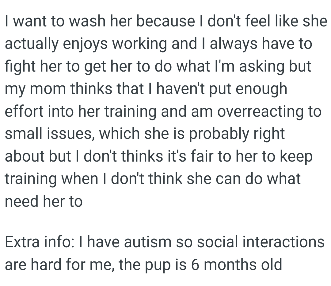 OP's mom thinks that she hasn't put enough effort into the pup's training