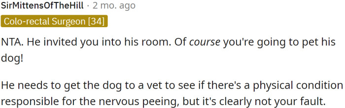 Redditor Gets Accused Of Intentionally Making His Roommate's Dog Pee On ...
