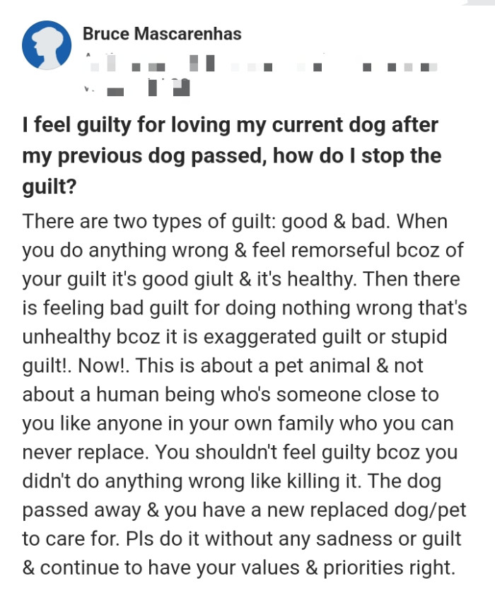 19. The OP should not feel guilty