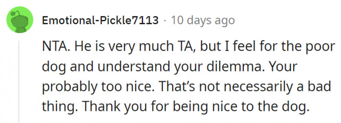 12. At least OP is thinking about the sake of the dog