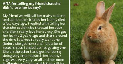 This Girl Got Ripped On Reddit For Calling Her Friend Out On Abusing Her Pet