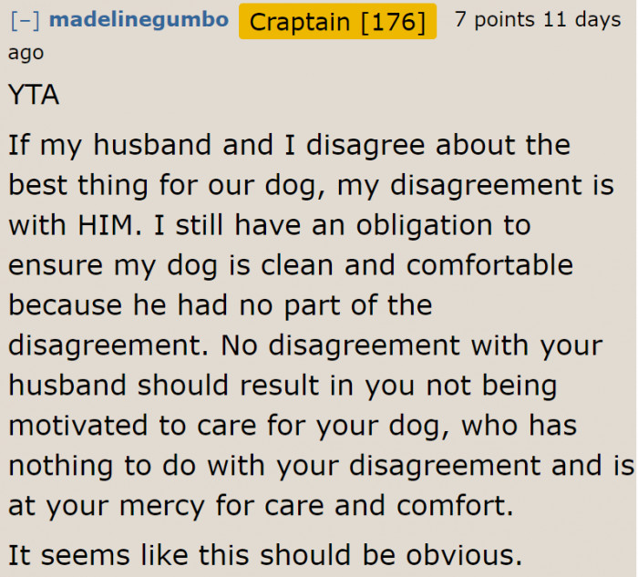 The user has a point. Their disagreement has nothing to do with their responsibility with the dog.