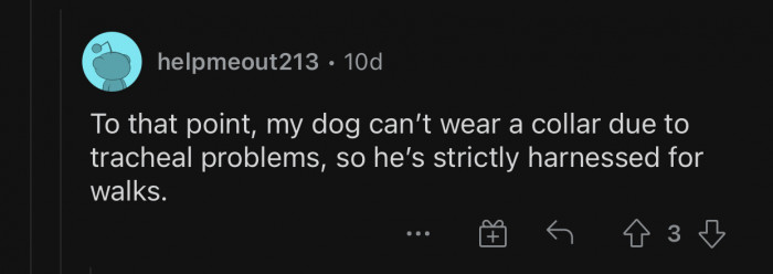 Some dogs are exclusively on harnesses. It's considered safer.