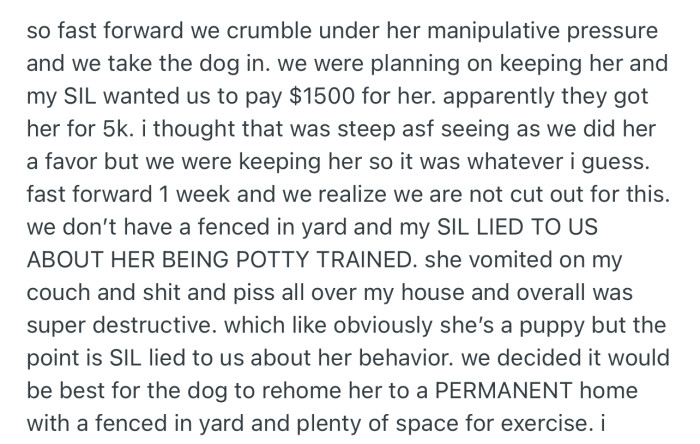OP and her husband got shocked when SIL requested they pay $1500 for the dog. They also realized that they’re not cut out to cater to it, prompting them to consider rehoming the pup