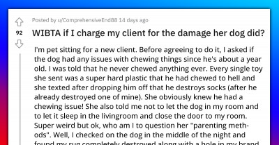Dog Sitter Asks If It’s Okay To Charge Her Client For The Rug And Couch Her Dog Destroyed