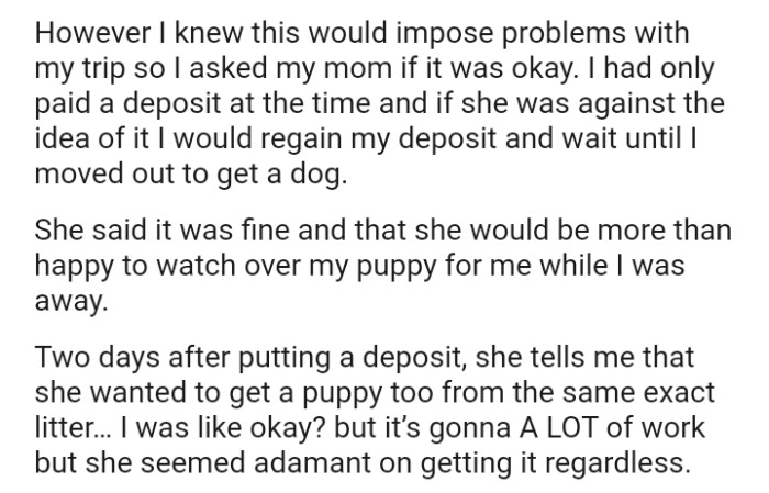 The OP's Mom Said It Was Fine to Take Care of the Dog