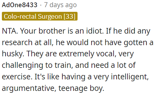 Huskies are noisy, hard to train, and require lots of exercise, similar to dealing with a stubborn teenager.