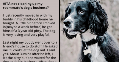 Guy Asks If He's Wrong Not To Clean Up After His Roommate's Dog