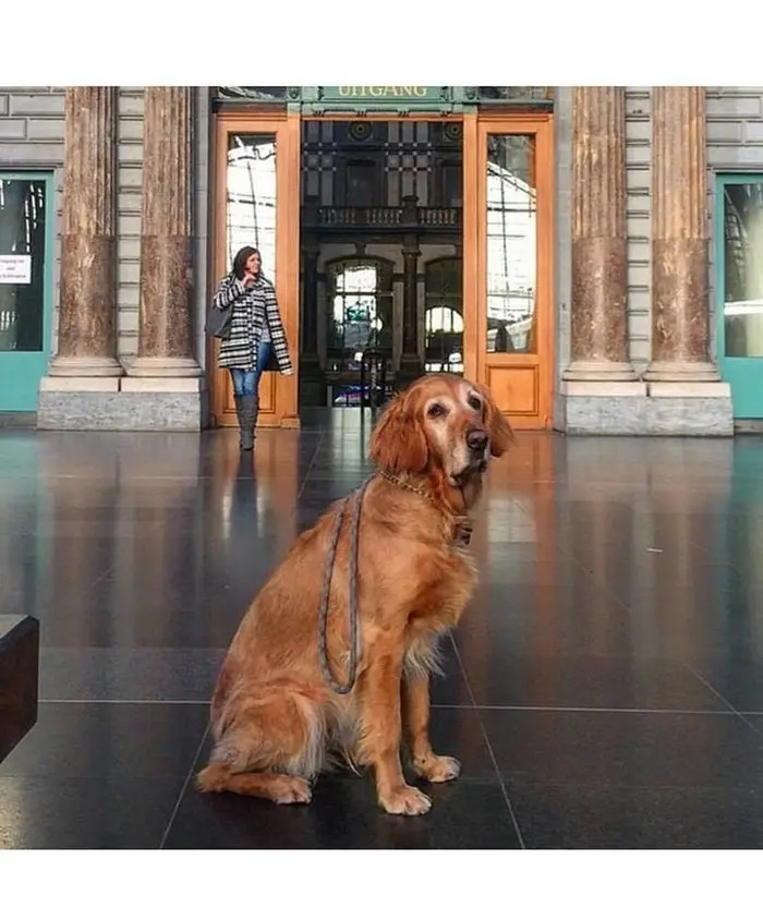 "The more I look for them, the more I see them!"