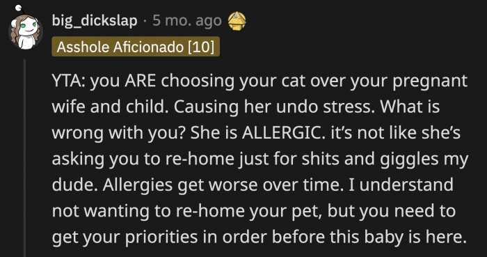 It did seem like OP was choosing his cat over his wife in his first post, so it's not surprising that the commenters were roasting him for it.