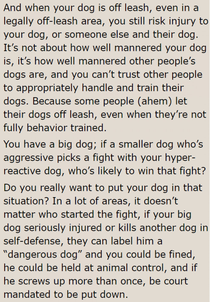 Most of the Time, It's Not About How Well-Behaved the Dog Is; the Surroundings Are a Factor Too.