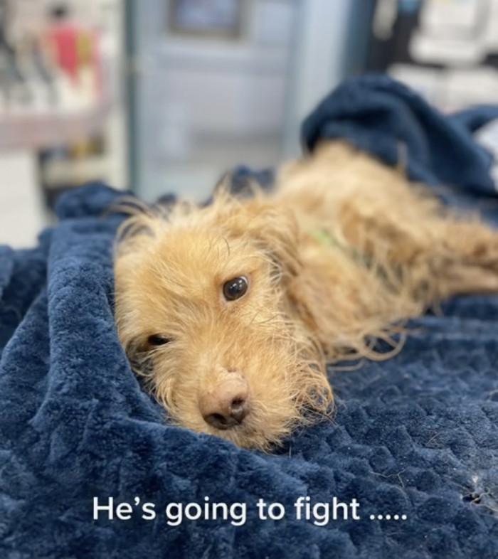 She wasn't about to give up on him