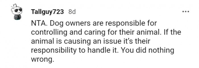 It Is Their Responsibility to Handle the Dog's Issues