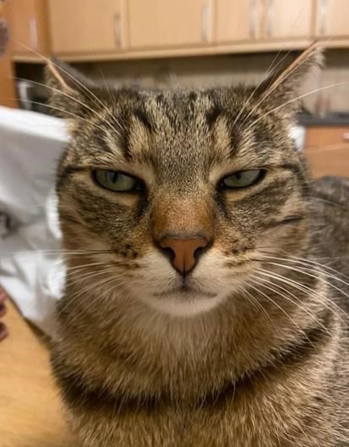 15. I hope you know why I'm looking at you