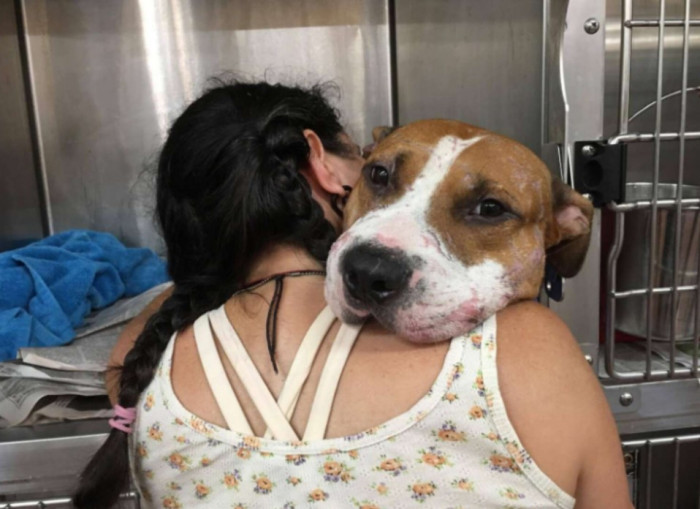 “I opened his kennel, and he melted into my arms”